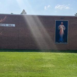 WALL IMAGE (CUSTOM) 250501