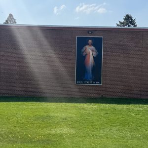 WALL IMAGE (CUSTOM) 250501
