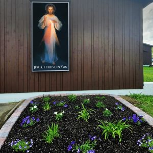 4x8 WALL IMAGE
